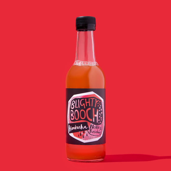 Bottle of Blighty Booch Nettle & Rosehip Kombucha on a Red background