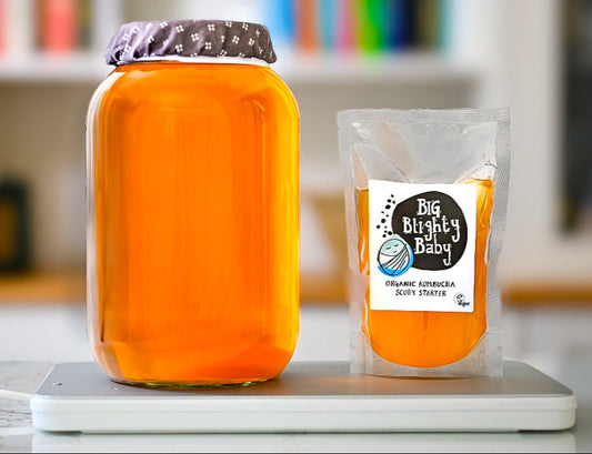 Blighty Booch Brew Base (Double)