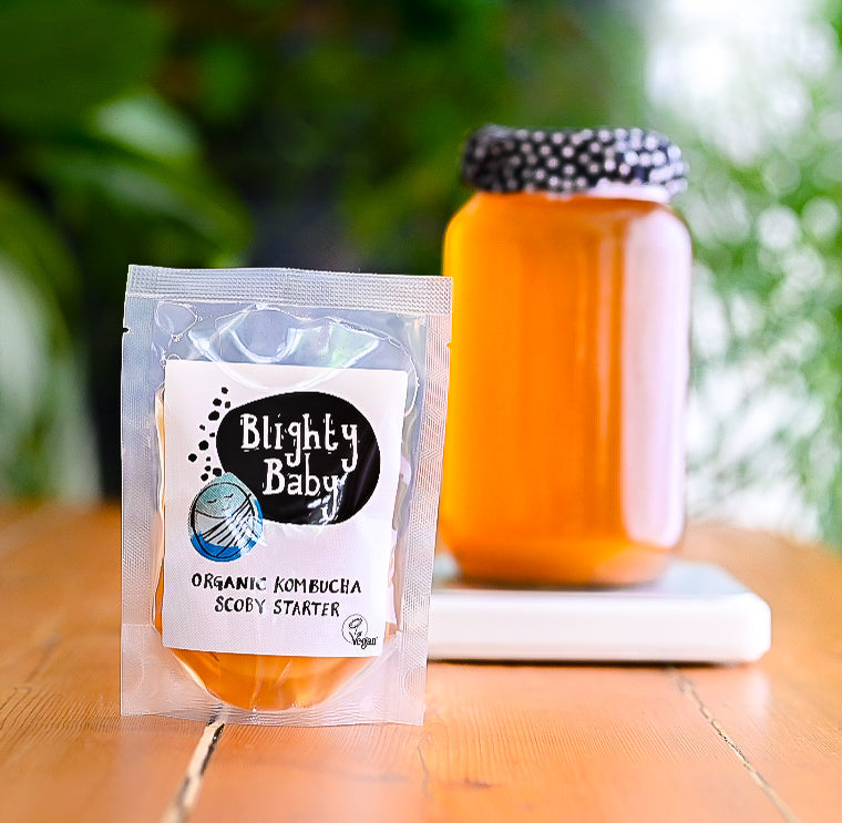 Blighty Baby organic kombucha scoby starter package with a jar of kombucha on a wooden surface.