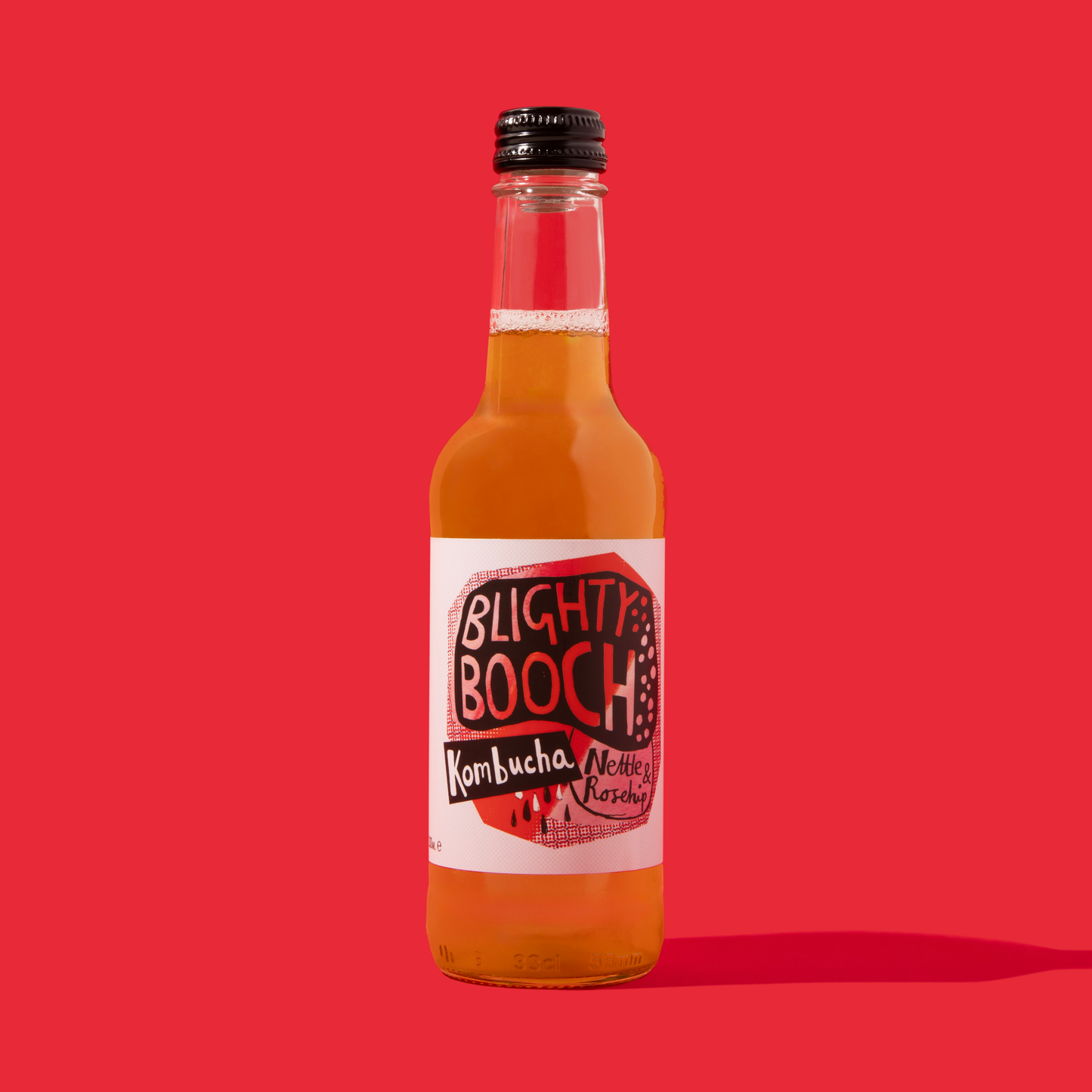 Mixed Case of Blighty Booch Kombucha