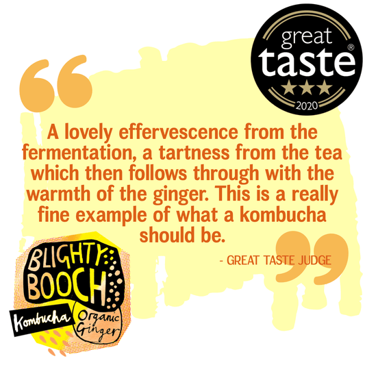 Blighty Booch Organic Ginger Kombucha - Blighty Booch