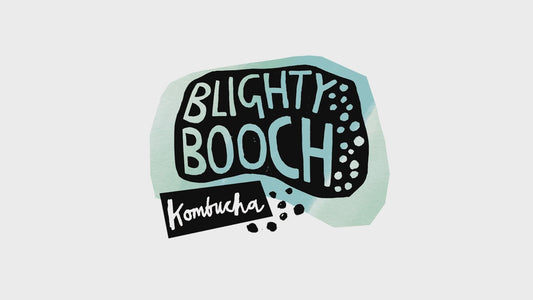 Blighty Baby Kombucha Starter Full Kit