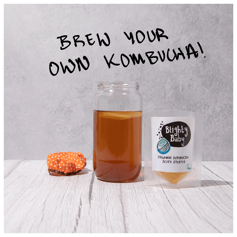 Big Blighty Baby Kombucha Starter Kit (to make 3L)