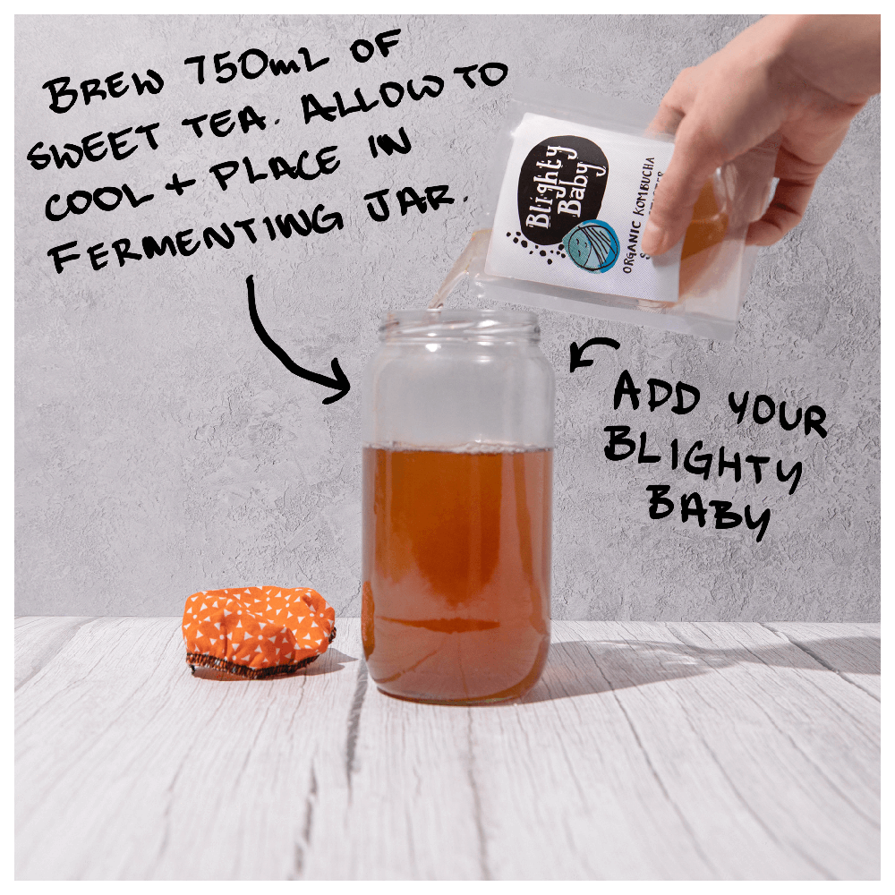 Big Blighty Baby Kombucha Starter Kit (to make 3L)