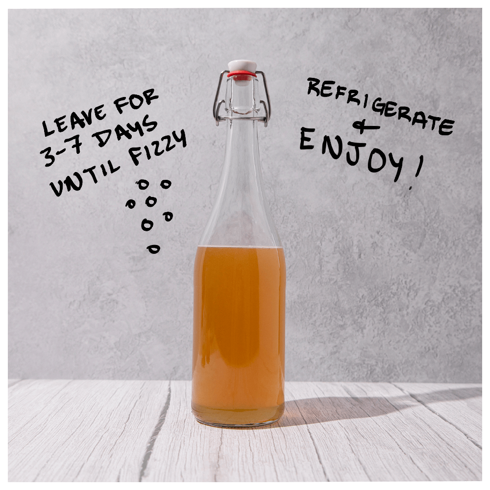 Big Blighty Baby Kombucha Starter Kit (to make 3L)