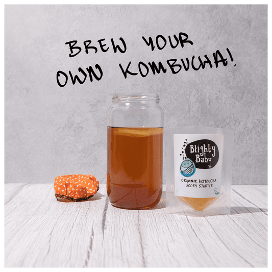 Blighty Booch Baby Kombucha Starter + Tea Bundles - Blighty Booch