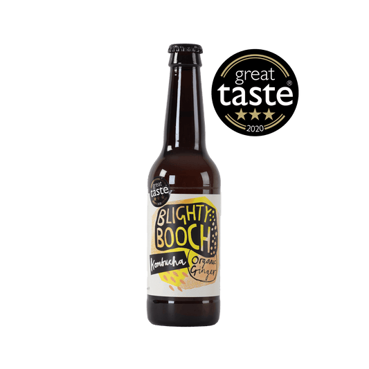 Award Winning Blighty Booch Organic Ginger Kombucha