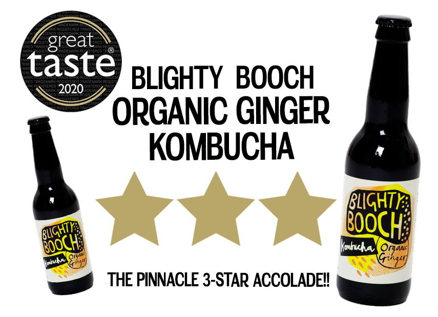Blighty Booch Great Taste Three Star Organic Original Kombucha