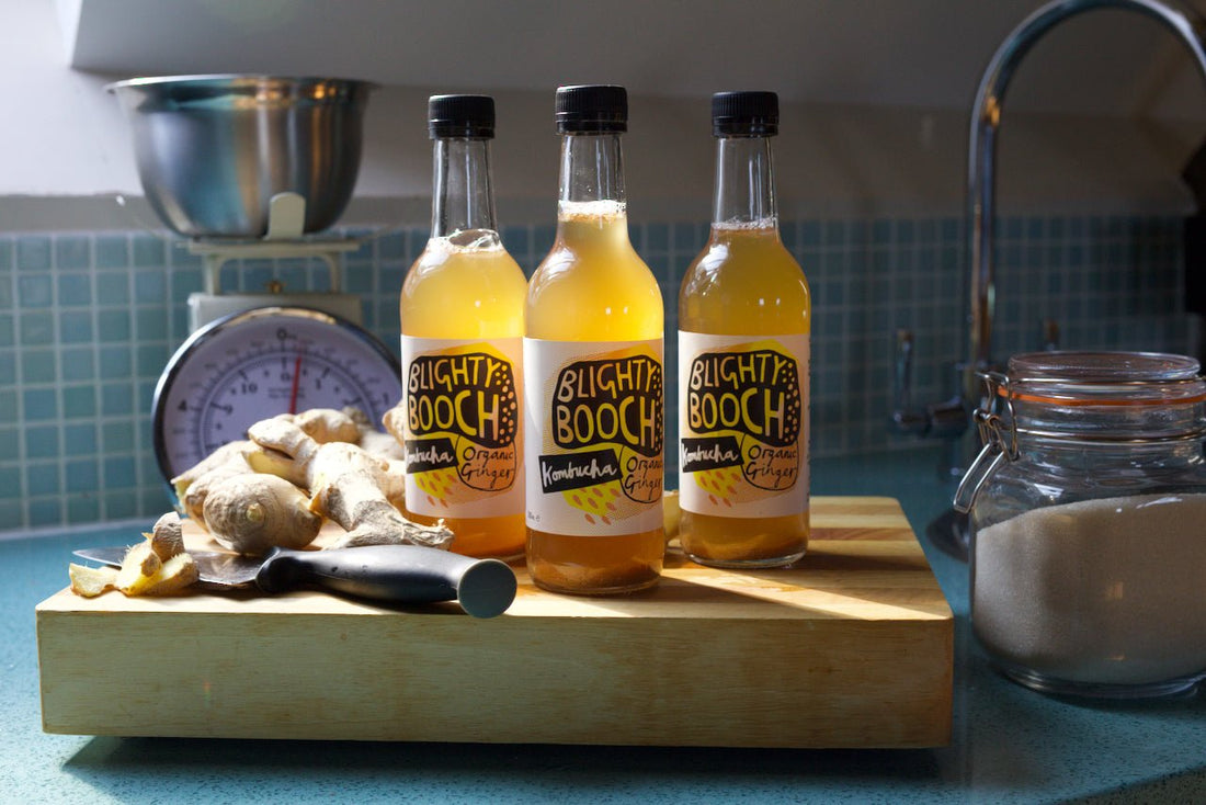 The Blighty Booch Difference: Why We Are Obsessed with Authentic Kombucha - Blighty Booch