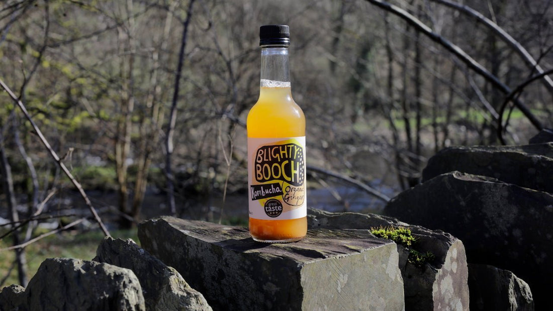 Whatever Happened To Starbucks Kombucha? The Rise and Fall of Corporate Fermentation - Blighty Booch