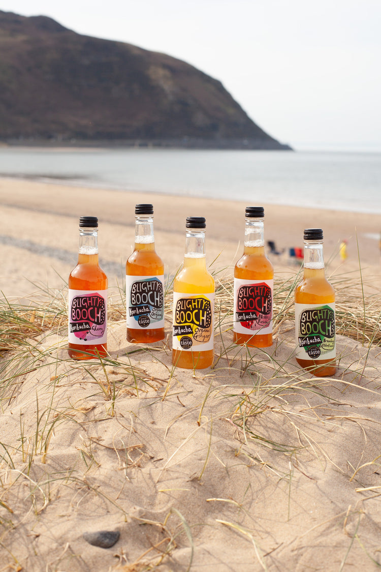 Organic Welsh Kombucha - Blighty Booch