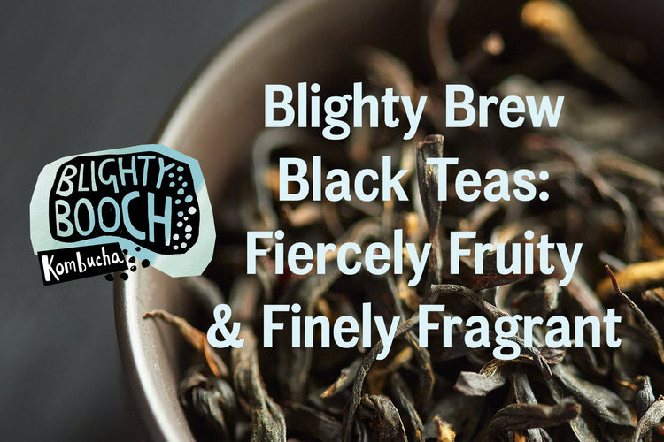 Organic Loose-Leaf Tea | Blighty Brew - Blighty Booch