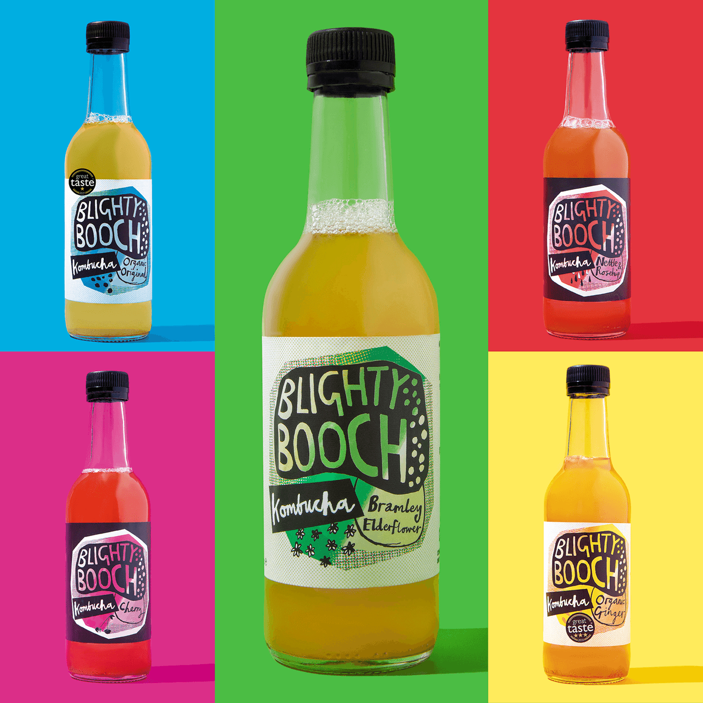 Blighty Booch Kombucha Mixed Case