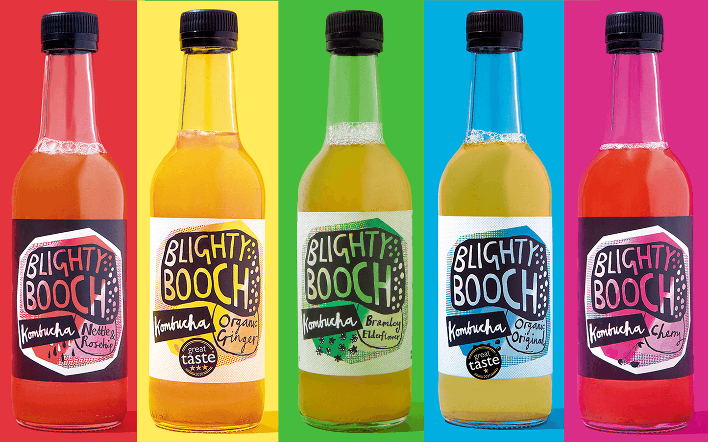 Blighty Booch Kombucha Mixed Case