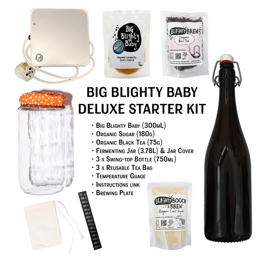 Big Blighty Baby Kombucha Starter Kit (to make 3L)