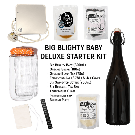 Big Blighty Baby Kombucha Starter Kit (to make 3L) - Blighty Booch