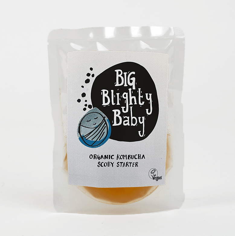 Big Blighty Baby Kombucha Starter Kit (to make 3L) - Blighty Booch