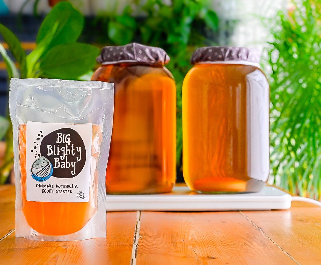 Blighty Booch Brew Base (Double) - Blighty Booch
