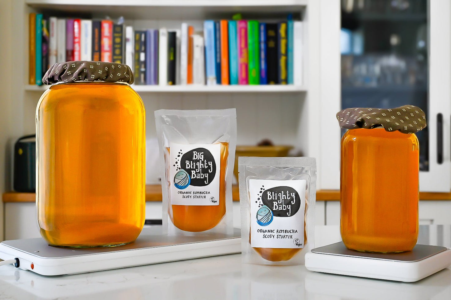 Blighty Booch Brew Base (Double) - Blighty Booch