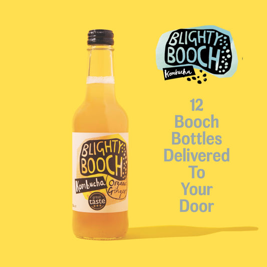 Blighty Booch Organic Ginger Kombucha - Blighty Booch