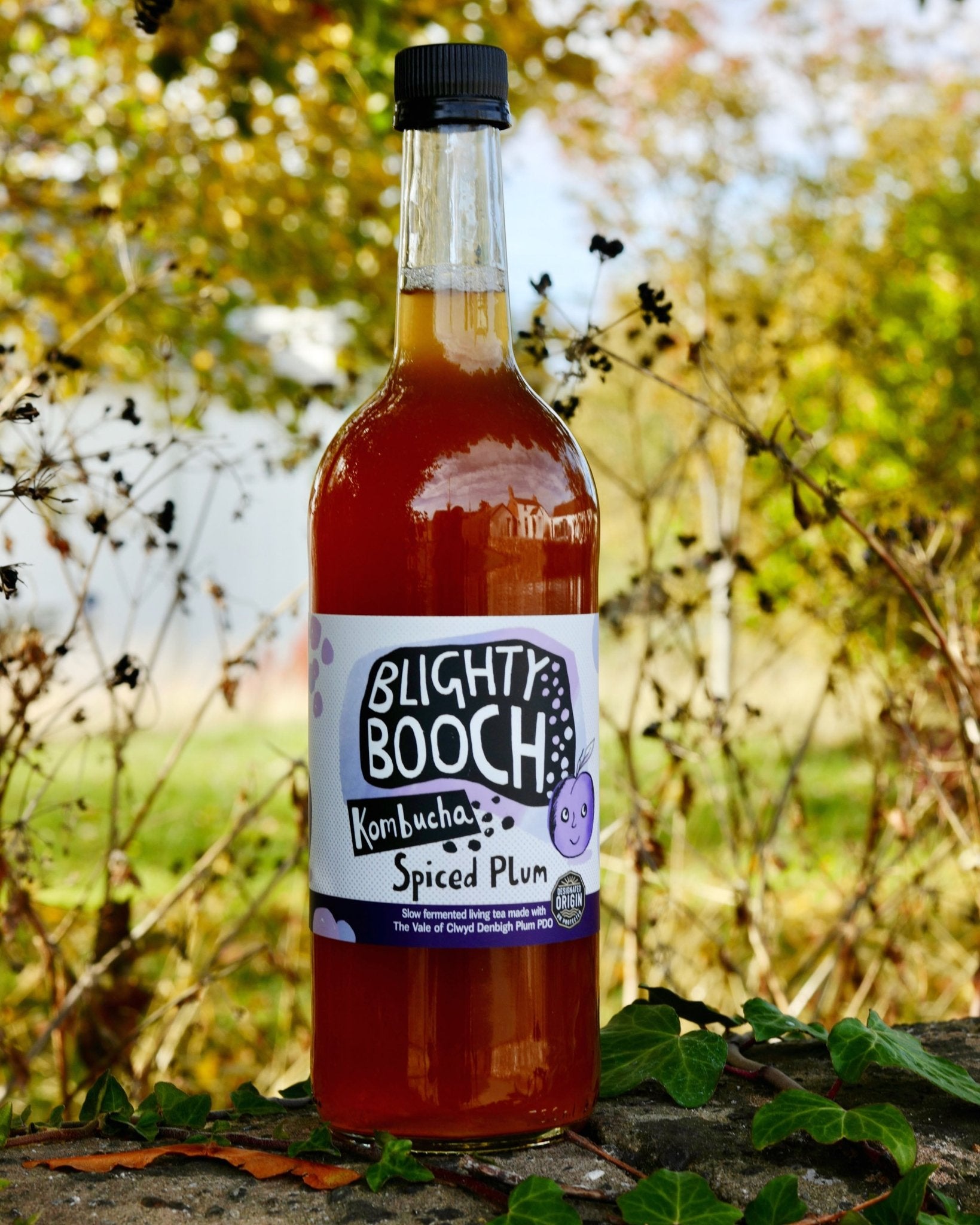 Blighty Booch Spice Plum Limited Edition - Blighty Booch