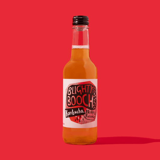 Mixed Case of Blighty Booch Kombucha - Blighty Booch