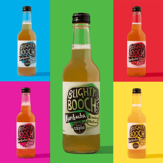 Mixed Case of Blighty Booch Kombucha - Blighty Booch