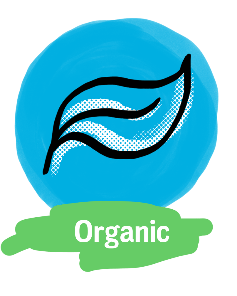 Organic Loose - Leaf Chunmee Green Tea - Blighty Booch