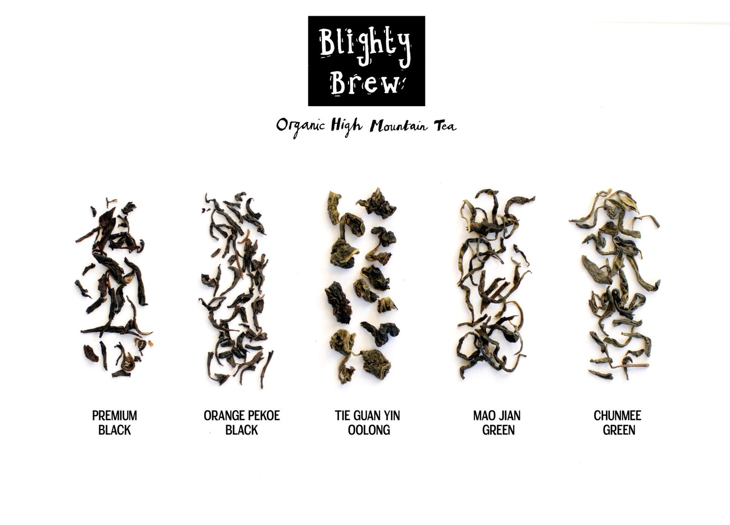 Organic Loose - Leaf Chunmee Green Tea - Blighty Booch