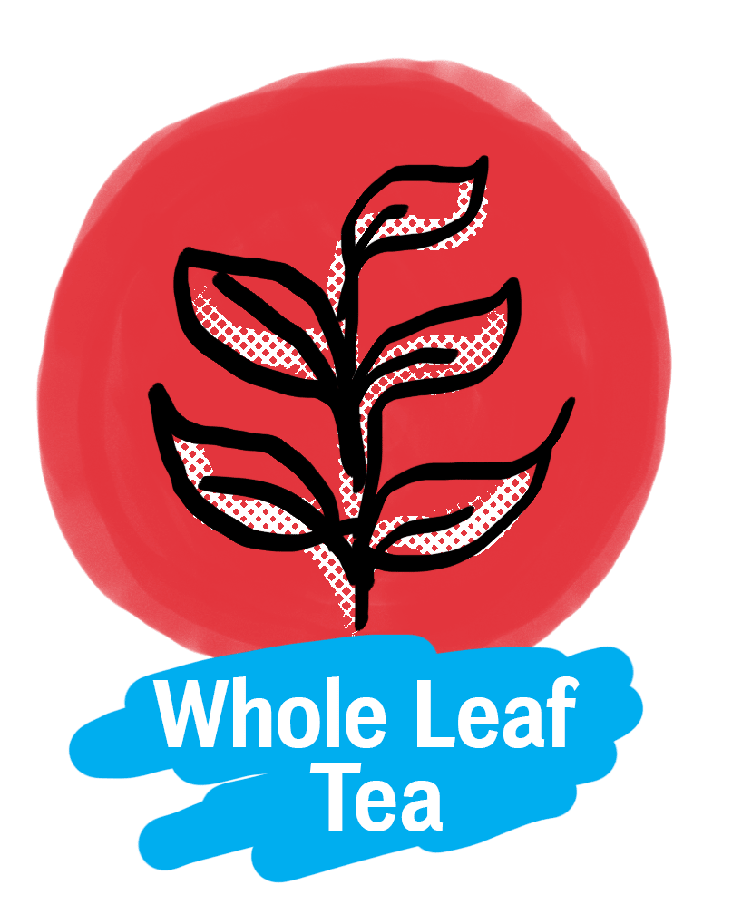 Organic Loose - Leaf Chunmee Green Tea - Blighty Booch