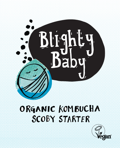 Blighty Baby Kombucha Starter Full Kit
