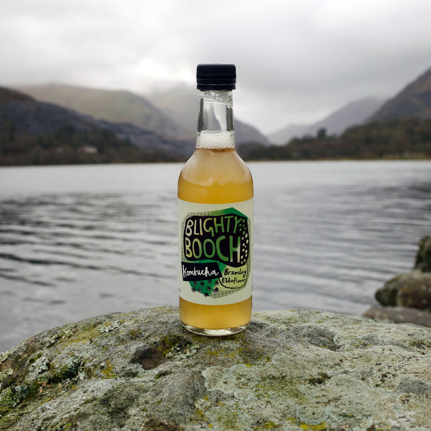 Blighty Booch Kombucha Bramley Elderflower