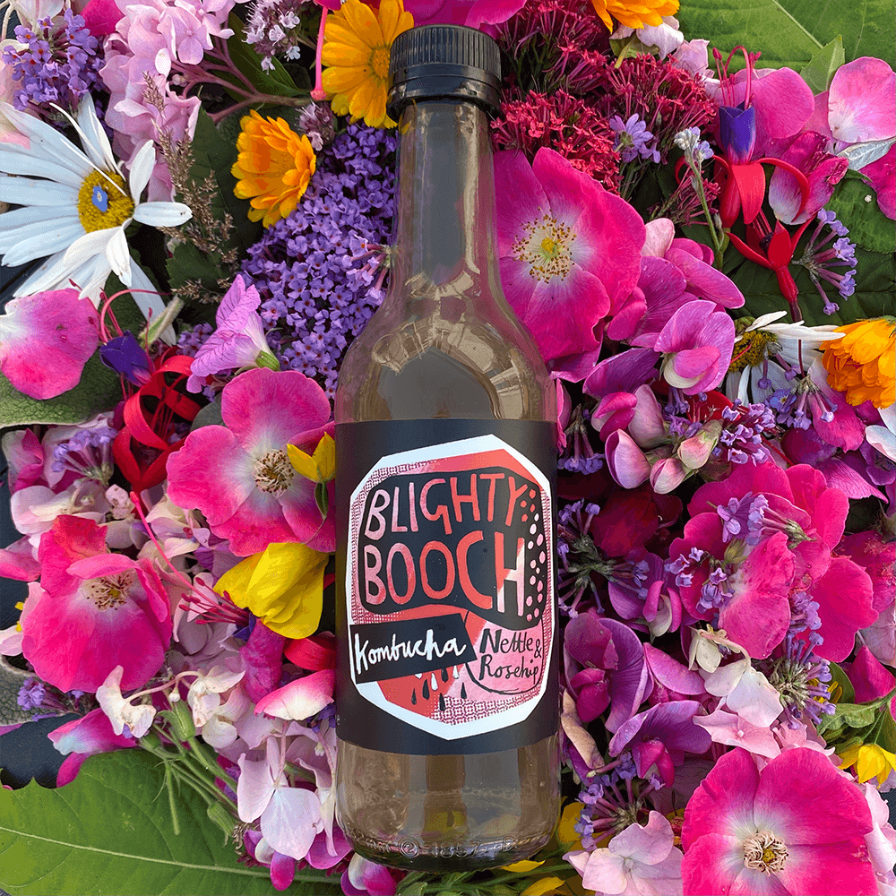 Blighty Booch Nettle & Rosehip Kombucha