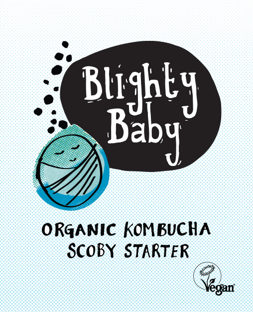 Blighty Baby Kombucha Starter Kit (to make 1L) - Blighty Booch