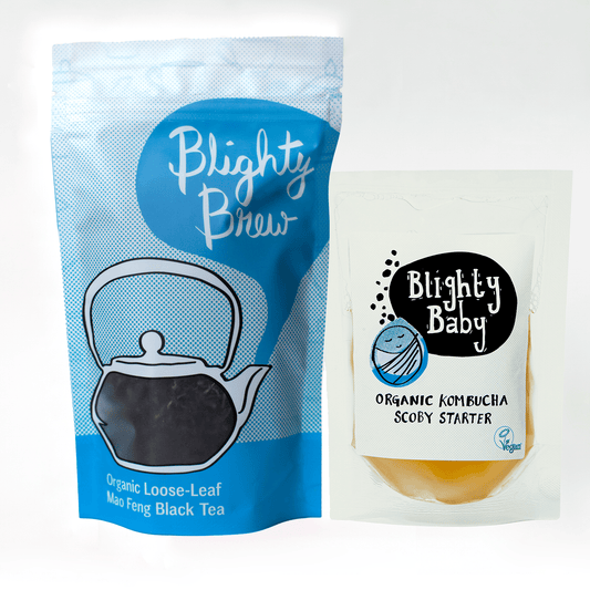 Blighty Booch Baby Kombucha Starter + Tea Bundles - Blighty Booch