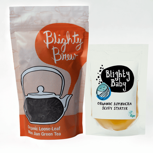 Blighty Booch Baby Kombucha Starter + Tea Bundles - Blighty Booch
