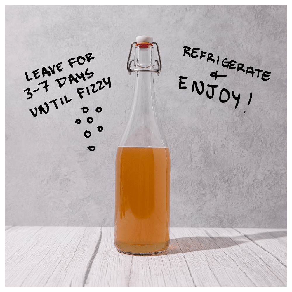 Blighty Booch Baby Kombucha Starter + Tea Bundles - Blighty Booch